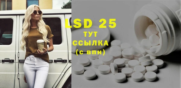 стаф Новодвинск