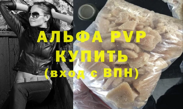 прущие грибы Вязьма