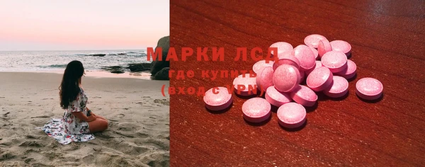стаф Новодвинск