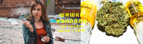 стаф Новодвинск