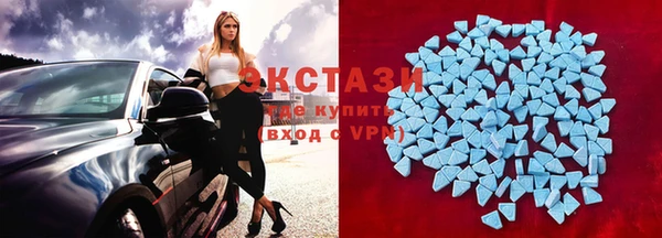 стаф Новодвинск
