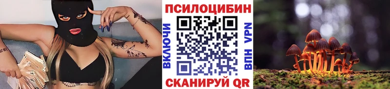 где продают   Неман  Галлюциногенные грибы Cubensis 