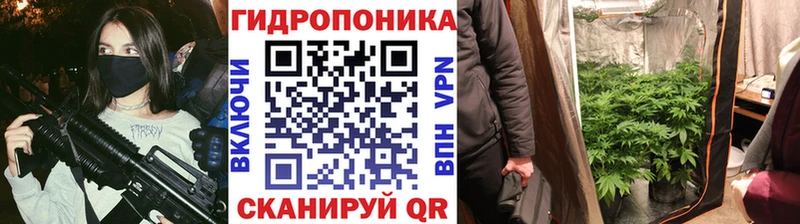 Бошки Шишки планчик  shop телеграм  Неман 